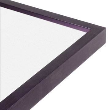 20" x 20" Purple Iris 3/4" La Galleria Picture/Gallery Frame