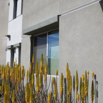 District Apartments in Scottdale Featuring Plaster Channel Screed