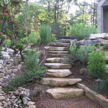 Dry Streams, Rain Gardens and Bog Gardens