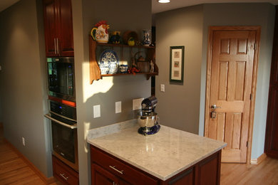 Kitchen - traditional kitchen idea in Minneapolis