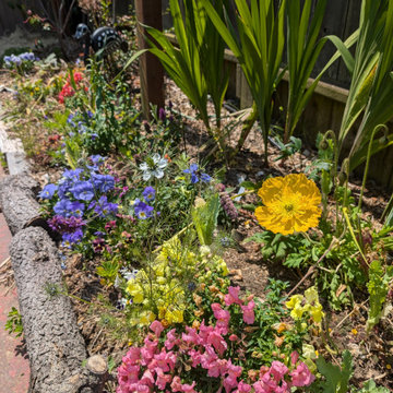 Backyard Production Garden, San Francisco