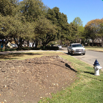 Privacy Berm Landscape Bed