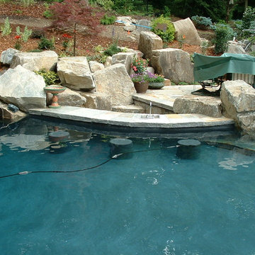 Darien Connecticut freeform pool with sunken bar
