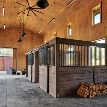 Longshot Ranch