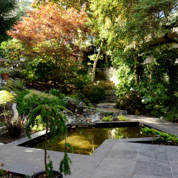 Secret Garden