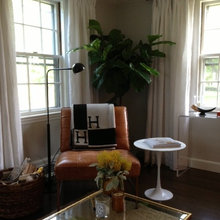 Living Room Ideas