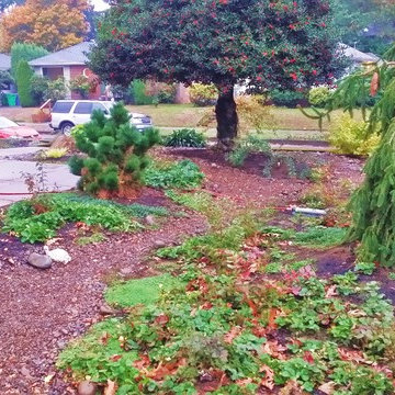 Woodstock Craftsman Cottage Rain Garden