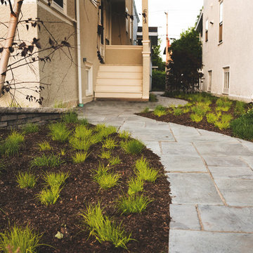 Landscape Design