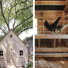 chicken coop