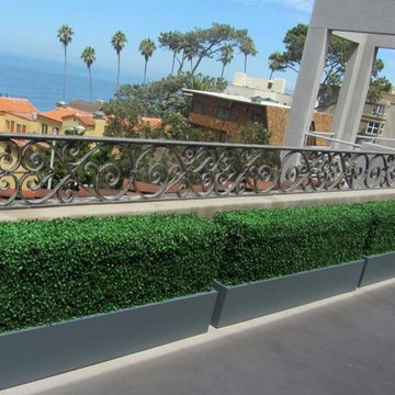 Artificial Hedge Products - Residential