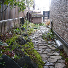 Exterior Ideas
