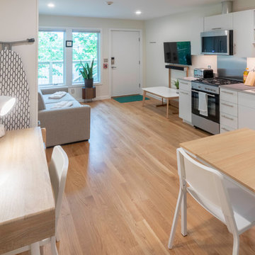 Lil Bub's Really Nice Apartments