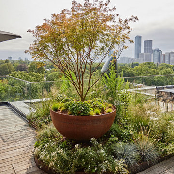 Sky Garden