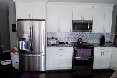 Trendy kitchen photo in Dallas