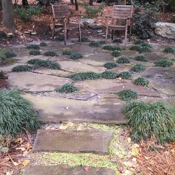 Shady stone seating among the Camellias