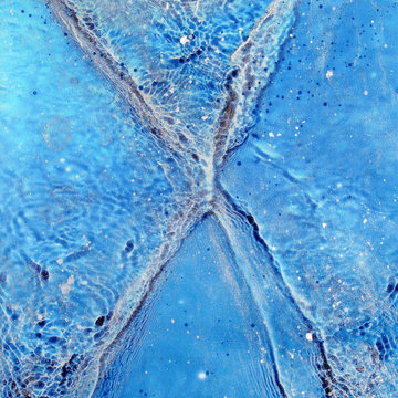 Decorative panels