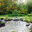 Organic Innovations Landscaping