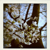 Naomi Ishida's photo