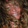 Linda Fleming