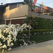 Terese Nguyen's photo