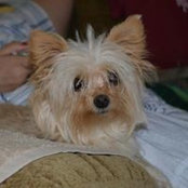 Lenette Leonard's photo