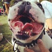 Lora Kostova's photo
