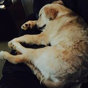 Dianne Naughton's photo