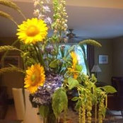 Judy Canal's photo