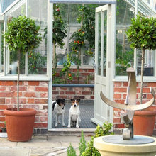 greenhouse