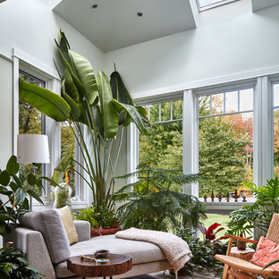 75 Beautiful Tropical Sunroom Pictures Ideas Houzz