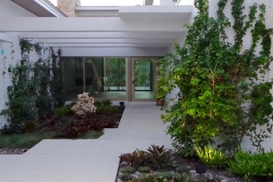 Minimalist exterior home photo in Miami