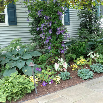 Sensational Shade Gardens