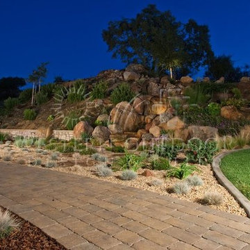 Xeriscape: Western Outdoor Designs