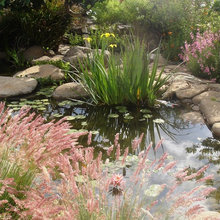 Garden Ponds