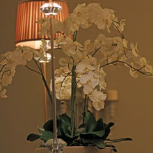 Decorating Ideas