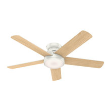 Ceiling Fans