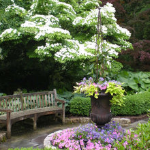 Obelisk In Planter