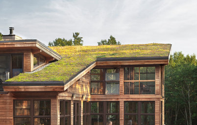 Green Roofs: Can You Create One at Your House?