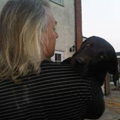 Mark Dyvig's photo