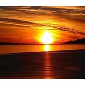 Carol Sutherland's photo