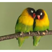 Georgina Ruff's photo