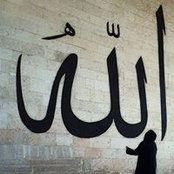 Kareem Ghamry's photo