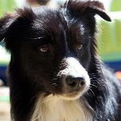 Jeff Gagnon's photo