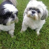 Gloria Abate's photo
