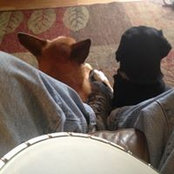Robert Newell's photo