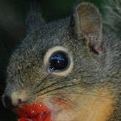 Dee Cooper Murphy's photo