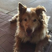 Shawn Foster's photo