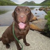 Pamela Bourque's photo