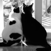 Holly Stevens's photo