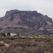 Mark Wittig's photo